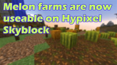 Melon farms are now useable on Hypixel Skyblock - YouTube