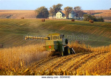 Iowa Corn Harvest | Agriculture - Harvesting grain corn with hay fields in… Fields Photography ...