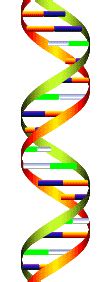 20 Great DNA Animated Gifs - Best Animations