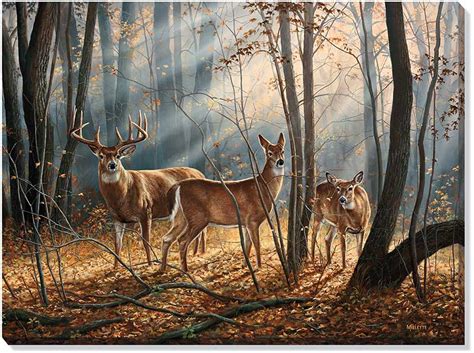 Woodland Splendor Whitetail Deer Wrapped Canvas Giclee Print Wall Art ...