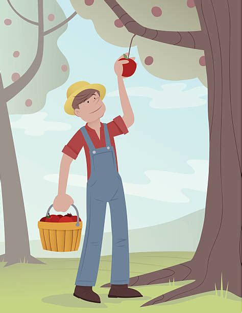 Royalty Free Apple Picking Clip Art, Vector Images & Illustrations - iStock