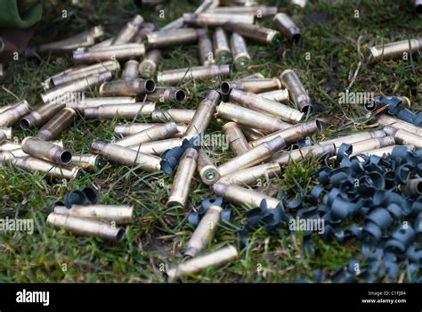 Soldiers from the Territorial Army training Stock Photo - Alamy