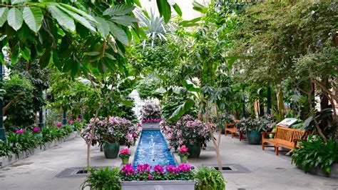 US Botanic Garden to Fully Reopen: Things to Do DC – NBC4 Washington