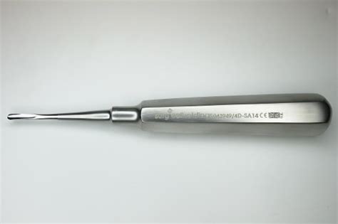 Dental Chisels for Small Animals - Surgical Holdings Veterinary