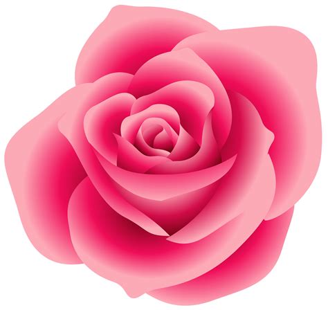 Pink Roses - Clip Art Library