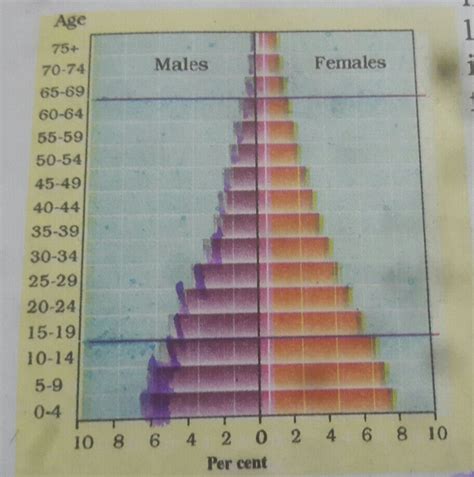 what are the characteristics of the population pyramid of india.4 pointsplz fast I have my exams ...