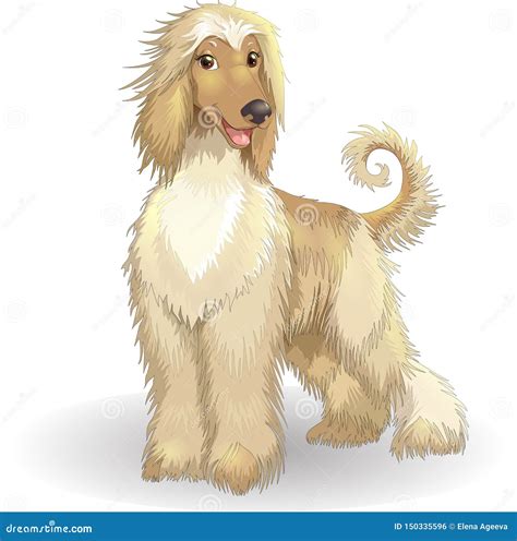 Afghan Hound Breed. Vector Stock Illustration Isolated Emoji Character ...