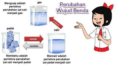 Soal Kelas 6 Benda Dan Sifatnya - Kutipan Soal