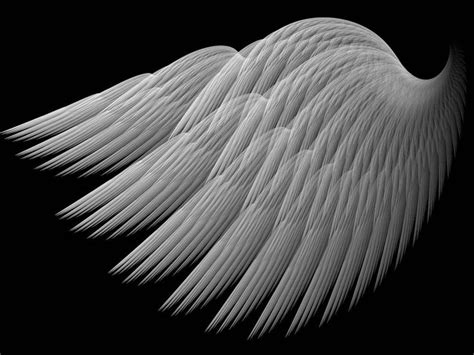 A Swans Wing by Thelma1 on DeviantArt | Swan wings, Wings, Optical illusions art