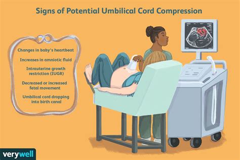 ¿Qué es la compresión del cordón umbilical? - Medicina Básica