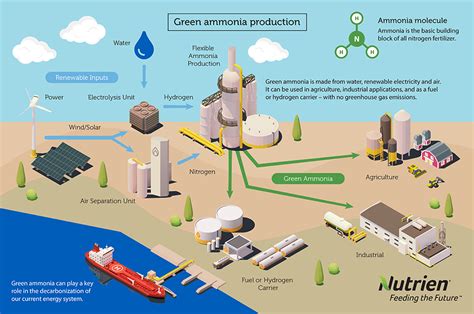 Ammonia Fertilizer Process