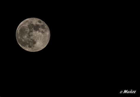 Full Moon | Preciosa Luna Llena la de anoche desde mi ventan… | Flickr