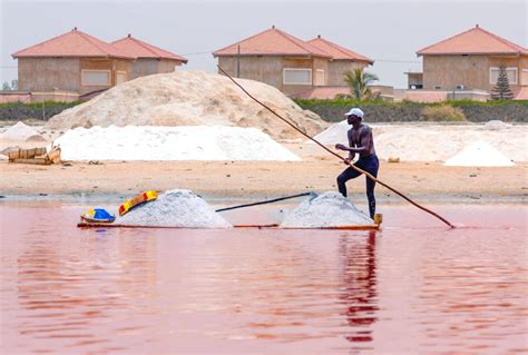 The Pink Lake - SENEGAL SHUTTLE