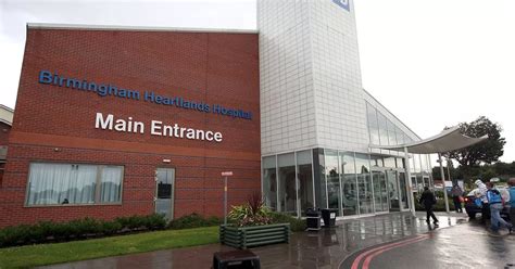 Hospital maternity ward closed after swarm of MICE invade building and patients are evacuated ...