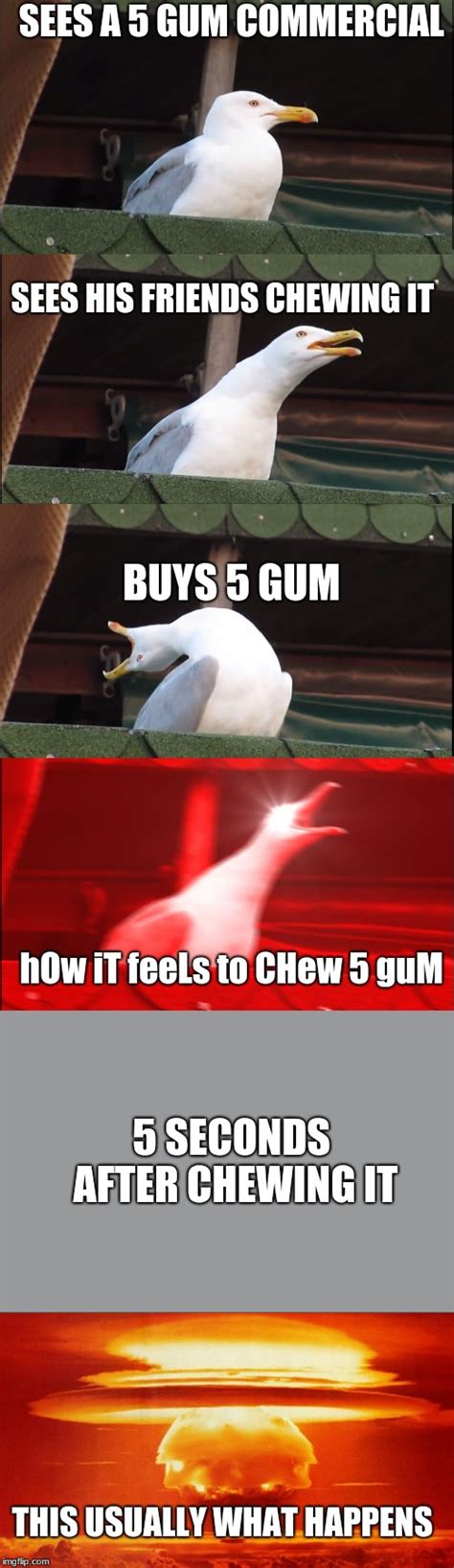 Image tagged in memes,inhaling seagull - Imgflip