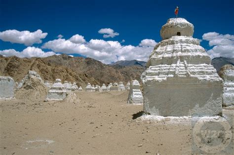 Travel Pictures Gallery - Picture of the day- India - Ladakh - Stupas ...