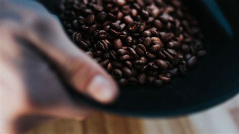 Can You Grow Coffee From Roasted Beans? Know the Facts