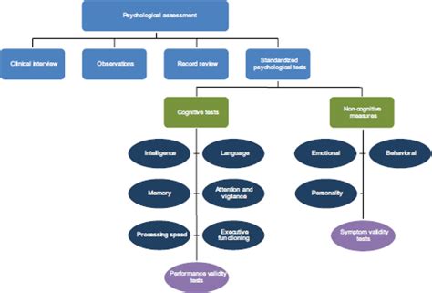 3 Overview of Psychological Testing | Psychological Testing in the Service of Disability ...