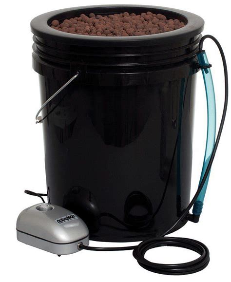 5 Gallon Bucket System | Hydroponics system, Hydroponics diy, Aquaponics