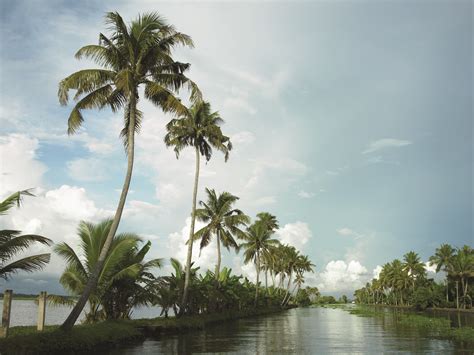 Backwater | Kerala Tourism