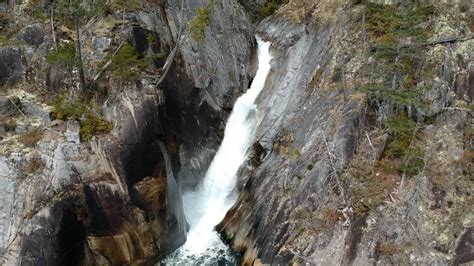 Campbell River: Waterfall And Wildlife Guided Boat Tour