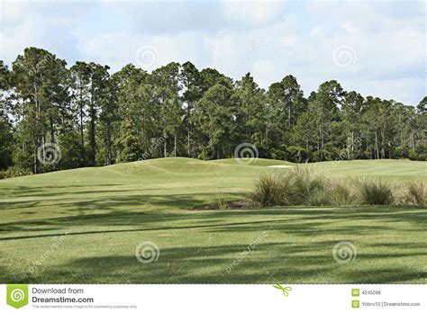 Golf Course Landscape stock photo. Image of lined, sunny - 4245098