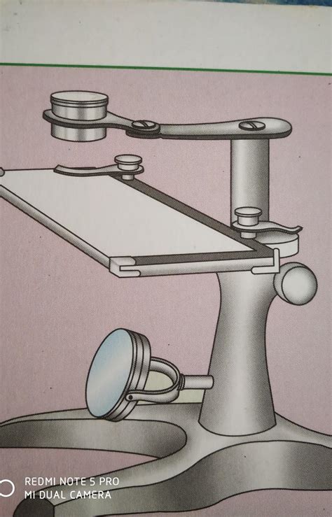 Dissecting Microscope Diagram