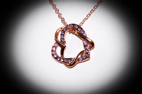 Beautiful Double Heart Infinity Necklace Infinity Heart, Infinity Necklace, Auction Bid ...