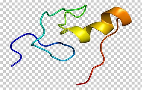 GATA1 GATA Transcription Factor Zinc Finger Protein PNG, Clipart, Area, Artwork, Cell, Cterminus ...