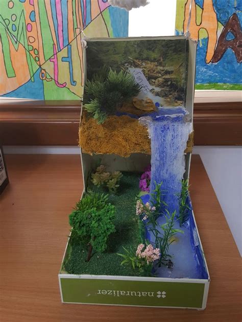 Water source diorama | Maquetas de ecosistemas, Proyectos escolares, Biomas