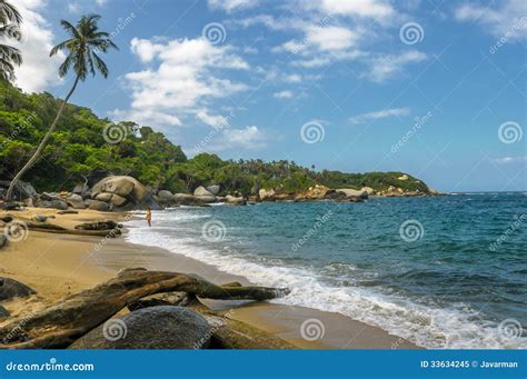 Beaches of Tayrona National Park, Colombia Stock Image - Image of palm, blue: 33634245