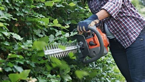 » Hedge Trimmer Maintenance