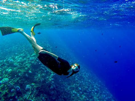 Snorkel Molokini Crater in Maui with Redline Tours