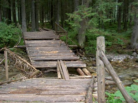 Log bridge - Wikipedia | Log bridge, Wood bridge, Bridge design