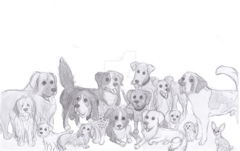 Different dog breeds by elisa-esprit on DeviantArt