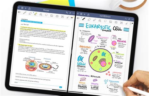 The 6 Most Effective Ways To Organise Your Digital Notes - Study-Stuff