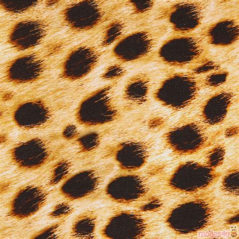 Cheetah Animal Print Fabric by Robert Kaufman - modes4u