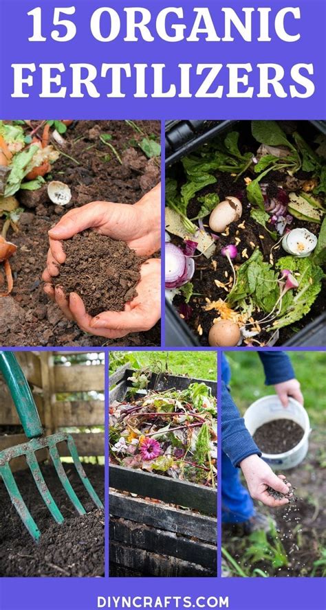 15 DIY Organic Fertilizer Recipes for Your Garden | Garden fertilizer, Organic fertilizer ...