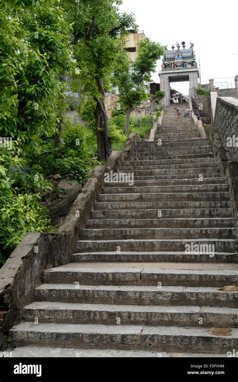 Arulmigu Thiruthani Murugan Temple; Arulmigu Subramaniya Swamy Temple; steps on northern side ...