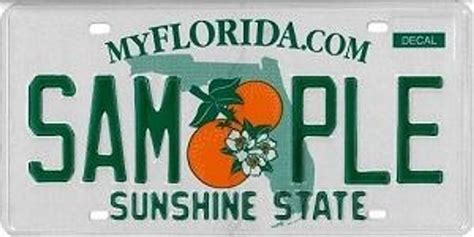 Florida will offer specialty license plate that supports Israel – The ...