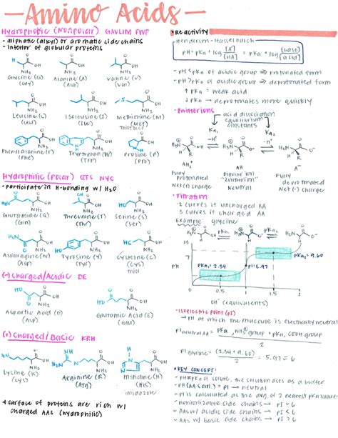 Mcat List Of Hydrophobic Amino Acids Culasopa | The Best Porn Website