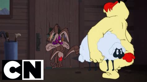 Looney Tunes | Ralph Wolf & Sam Sheepdog | Cartoon Network - YouTube