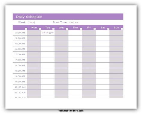 Excel Daily Schedule Template