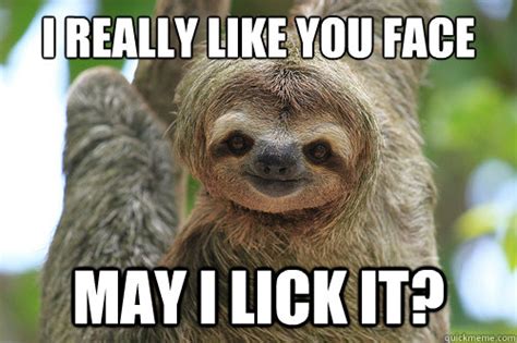 I really like you face may i lick it? - awkward sloth - quickmeme