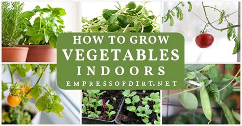 How to Grow Vegetables Indoors (Easy Beginner’s Guide)