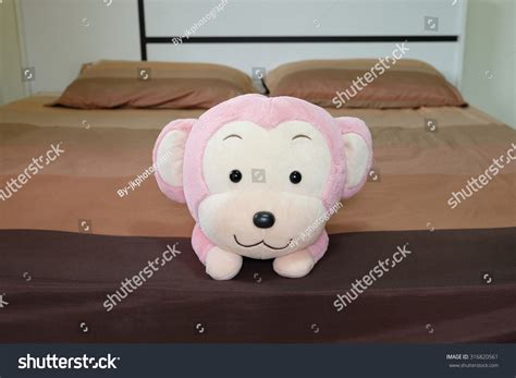 Monkey on bed Stock Photos, Images & Photography | Shutterstock