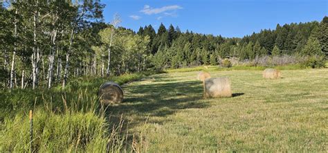 Kelly Canyon Ranch | Bozeman Montana | Fay Ranches