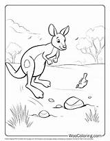 100  Kangaroo coloring Pages Free PDF To Print Woo Coloring sketch template