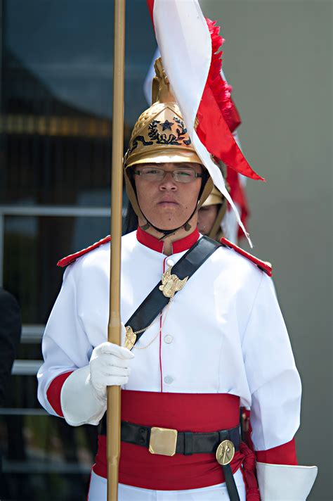 A Brazilian soldier stands at attention wearing a traditional uniform ...