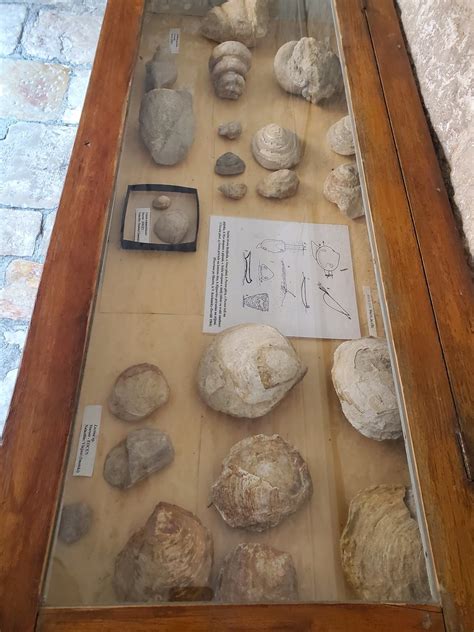 Malacology Museum | Makarska, Dalmatia, Croatia | tenebboy | Flickr